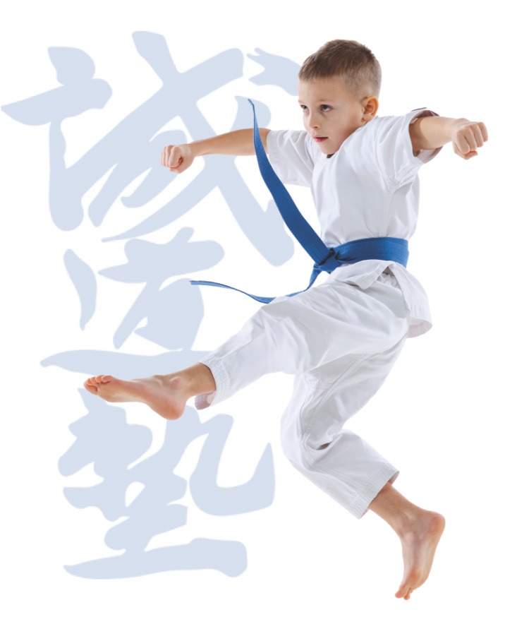 Beginner Classes are free | Seido Karate Timaru