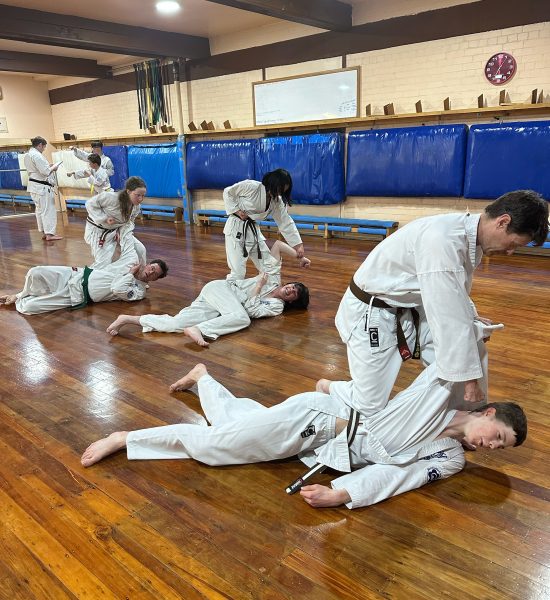 Seido Karate Classes